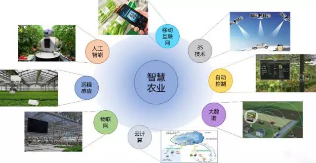 农业信息技术应用,农业信息技术应用案例